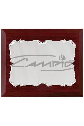 PLACAS HOMENAJE W0014PL138